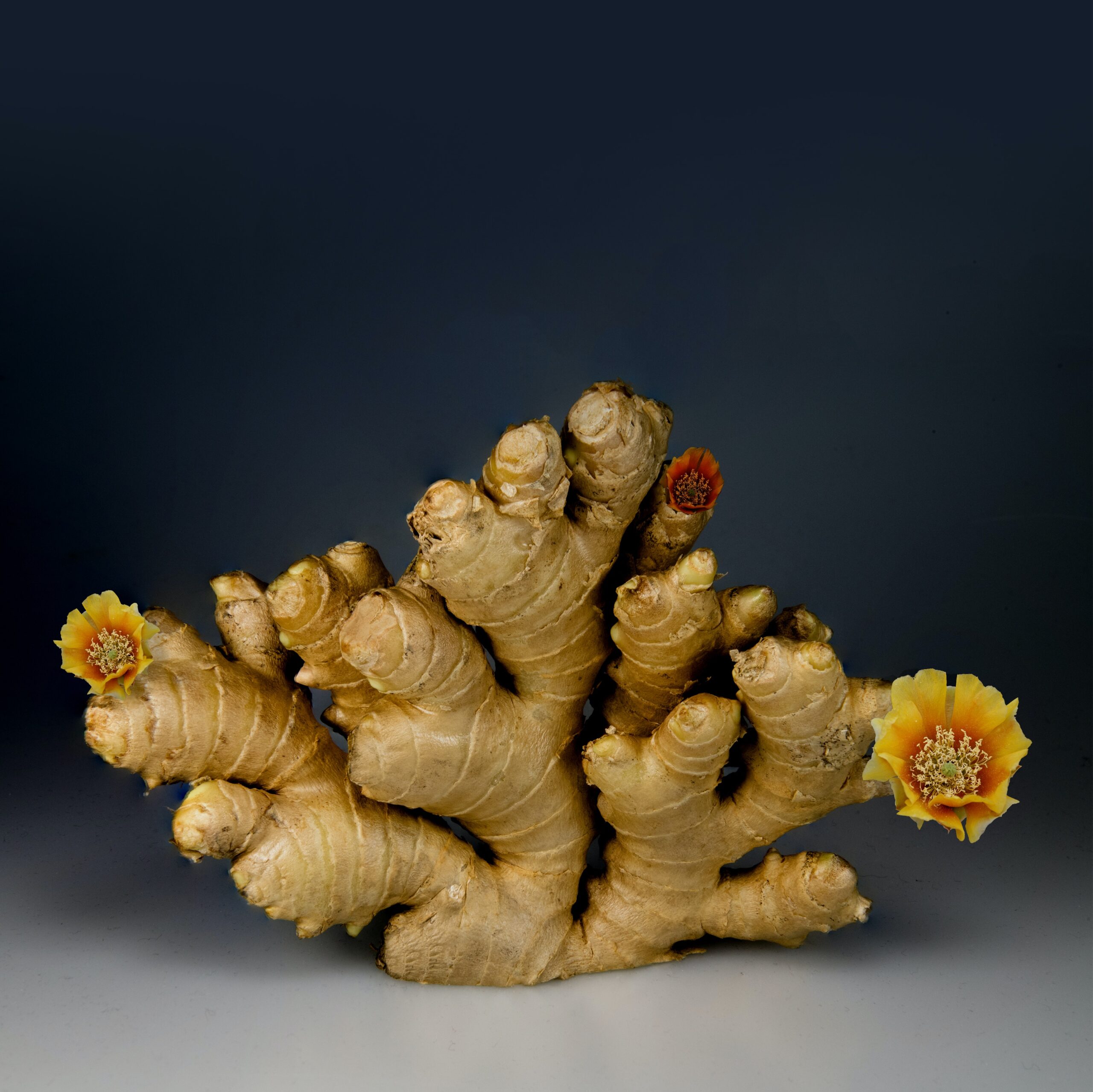 Ginger root health